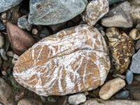 Dichte weiße Maserungen in braunem Stein